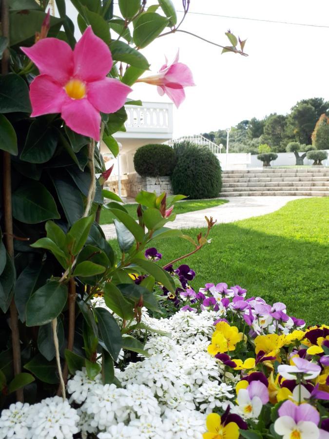 Villa Natia Mottola Extérieur photo